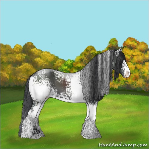 Horse Color:White Spotted Black Sabino