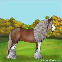 Horse Color:Silver Brown Sabino 