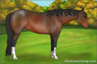 Horse Color:Brown 