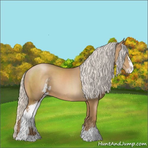 Horse Color:Silver Black Pearl Sabino