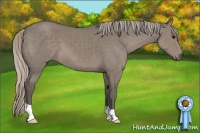 Horse Color:Silver Grullo