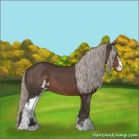 Horse Color:Silver Black Sabino 