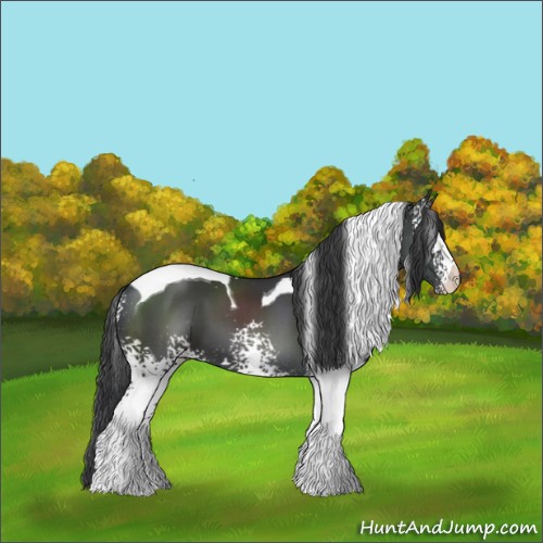 Horse Color:White Spotted Black Tobiano 