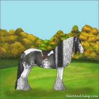 Horse Color:White Spotted Black Tobiano 