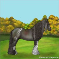 Horse Color:White Spotted Smoky Black Sabino 