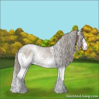 Horse Color:White Spotted Silver Black Sabino 