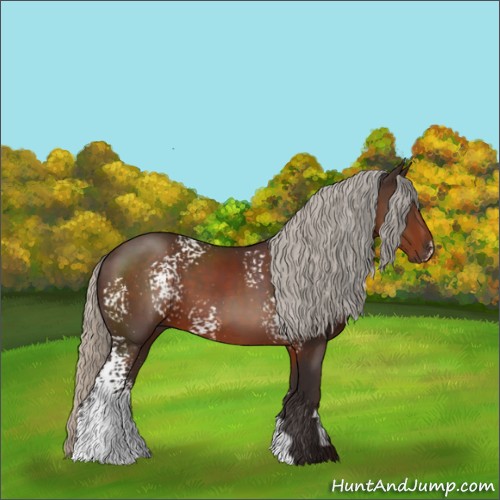 Horse Color:White Spotted Silver Brown