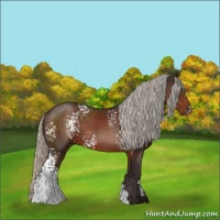 Horse Color:White Spotted Silver Brown