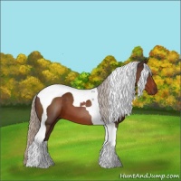 Horse Color:Silver Brown Tobiano 