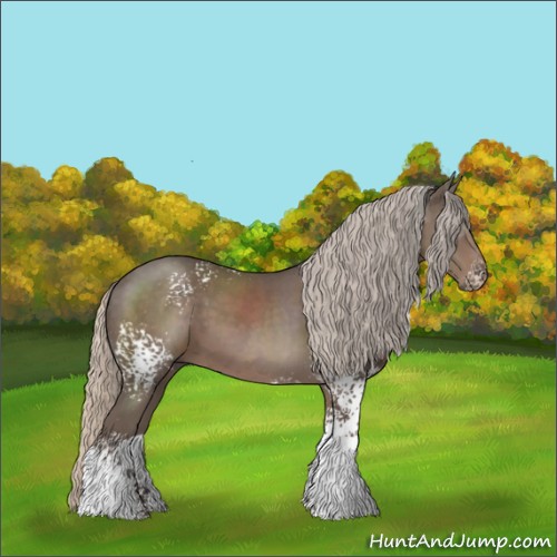 Horse Color:White Spotted Silver Black 