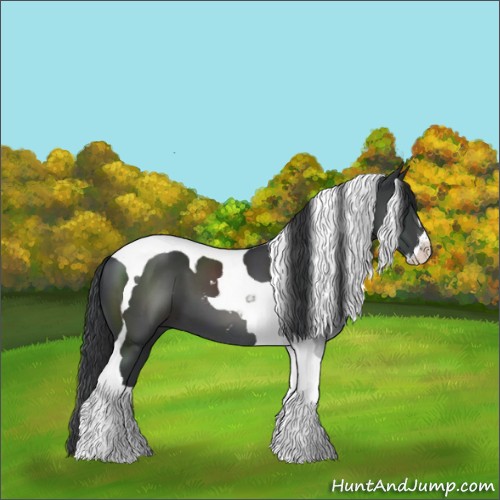 Horse Color:Black Sabino Tobiano