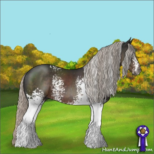 Horse Color:Gray White Spotted Silver Black