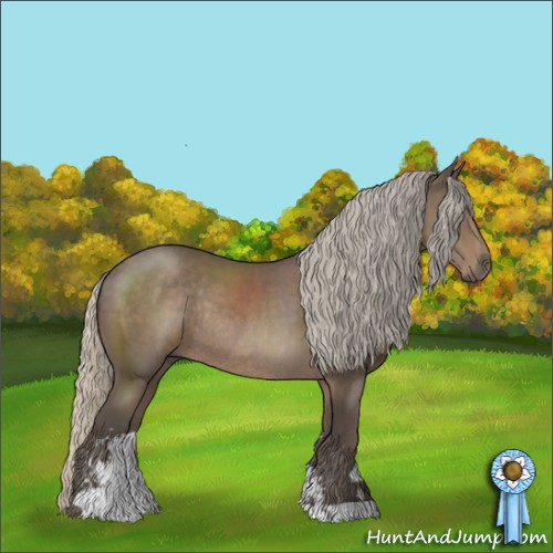 Horse Color:Silver Black Sabino Rabicano 