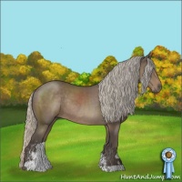 Horse Color:Silver Black Sabino Rabicano 