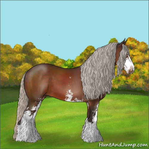 Horse Color:Silver Brown Sabino 