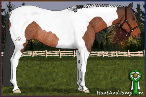 Horse Color:Bay Tobiano Rabicano 
