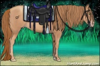 Horse Color:Gold Champagne Sabino