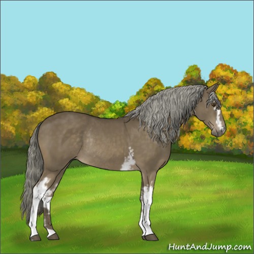 Horse Color:White Spotted Chocolate Palomino Rabicano 