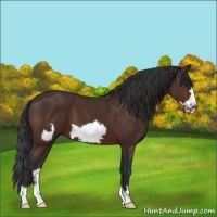 Horse Color:Brown Frame 