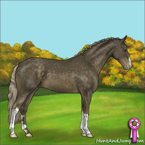 Horse Color:Chocolate Palomino Mushroom Appaloosa 