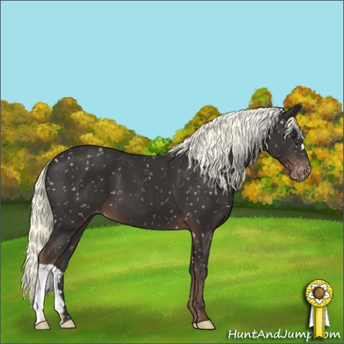 Horse Color:Liver Chestnut Mushroom Snowflake Varnish