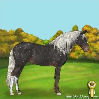 Horse Color:Liver Chestnut Mushroom Snowflake Varnish 