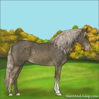 Horse Color:Chocolate Palomino Mushroom Varnish 