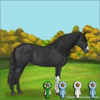 Horse Color:Black Mushroom Varnish 