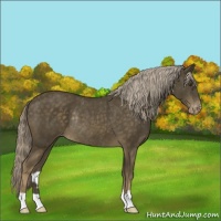 Horse Color:Chocolate Palomino Mushroom Varnish Rabicano