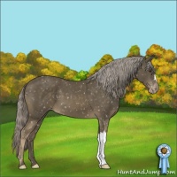 Horse Color:Chocolate Palomino Mushroom Snowflake Varnish