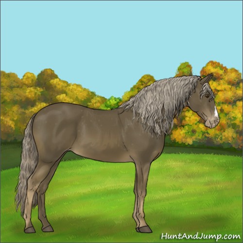 Horse Color:Chocolate Palomino Mushroom Varnish