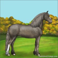 Horse Color:Chocolate Palomino Mushroom 