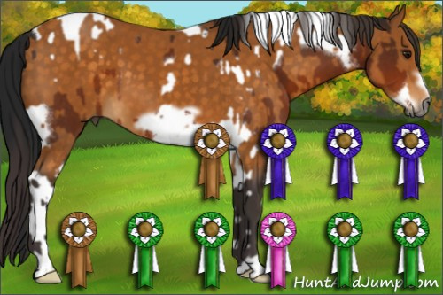 Horse Color:Gray Bay Tobiano Frame Rabicano  and Buckskin Frame 