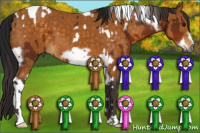 Horse Color:Gray Bay Tobiano Frame Rabicano  and Buckskin Frame 