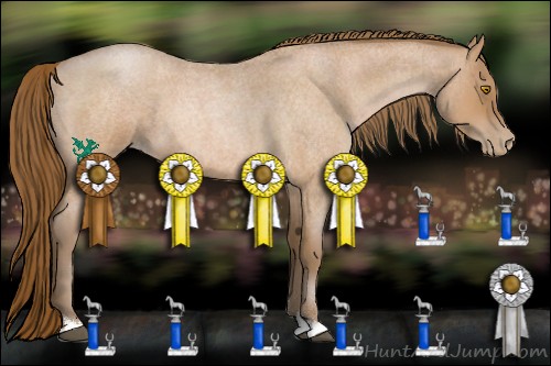 Horse Color:Brown Roan Pearl 