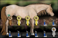 Horse Color:Brown Roan Pearl 