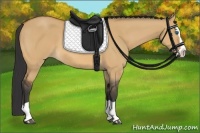 Horse Color:Bay Dun Splash
