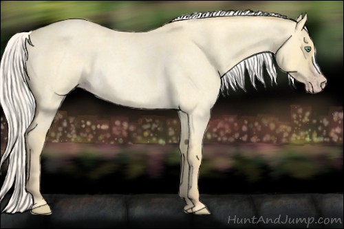 Horse Color:Silver Amber Cream Champagne Roan Dun Rabicano 