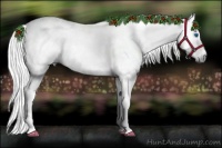Horse Color:Gray Silver Smoky Grullo Splash Tobiano Rabicano 