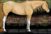 Horse Color:Bay Pearl Tobiano 