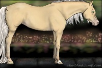 Horse Color:Silver Amber Cream Champagne 