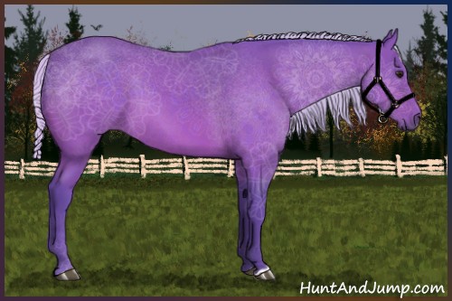 Horse Color:Watercolor Silver Brown 