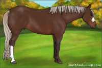 Horse Color:Silver Brown 