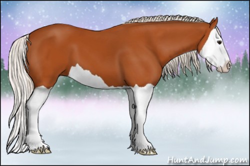 Horse Color:Silver Bay Splash