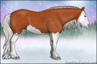 Horse Color:Silver Bay Splash