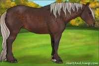 Horse Color:Silver Brown 