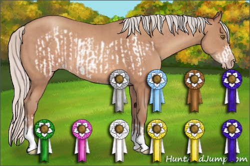 Horse Color:Silver Sable Champagne Frame  and Silver Sable Champagne 