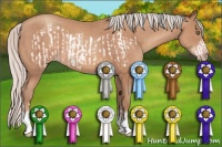 Horse Color:Silver Sable Champagne Frame  and Silver Sable Champagne 