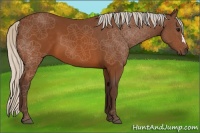 Horse Color:Silver Buckskin 