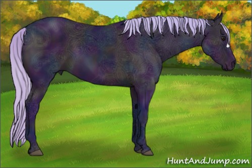 Horse Color:Watercolor Midnight Silver Brown Ice
